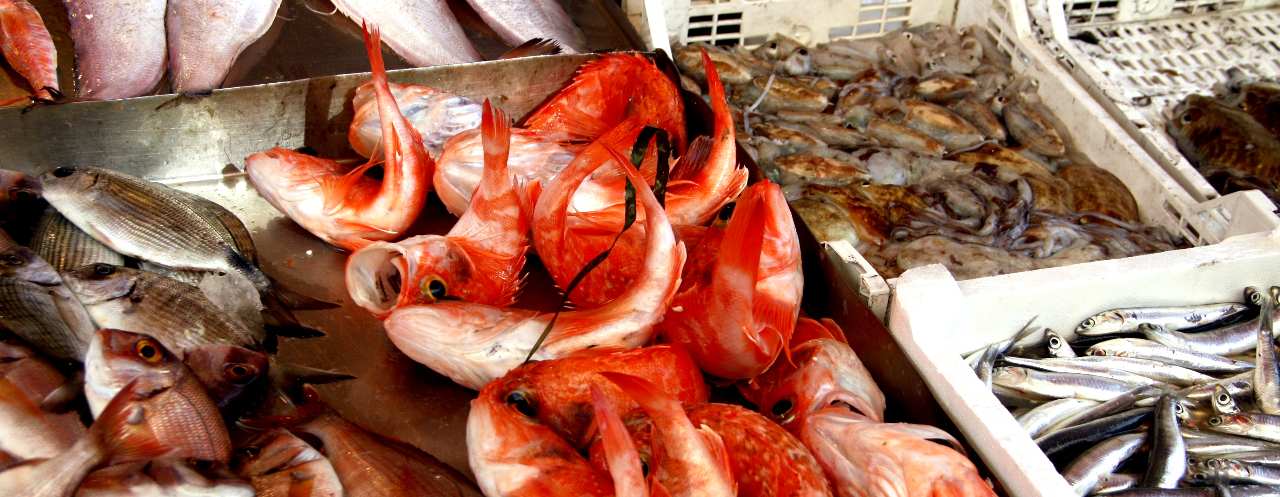 Banco di pesce fresco al Mercato di Ortigia, Siracusa