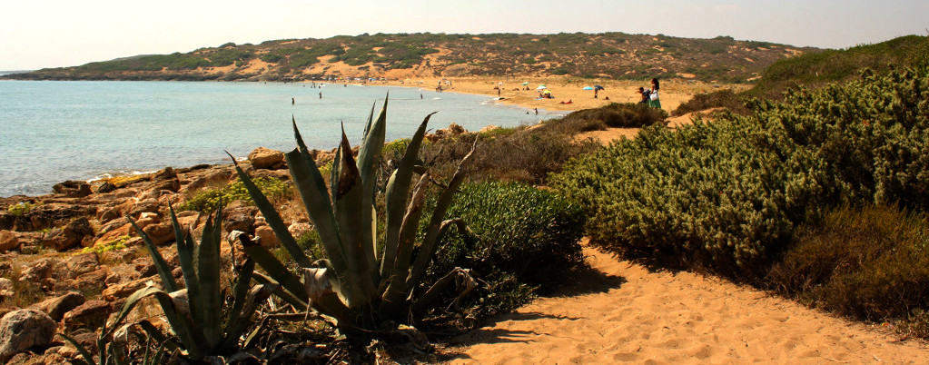Spiaggia di Marianelli, un'oasi di pace